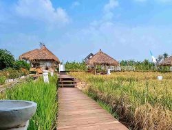 D’Sawah Resto, Sensasi Kuliner Menu Tradisional di Tengah Hamparan Sawah