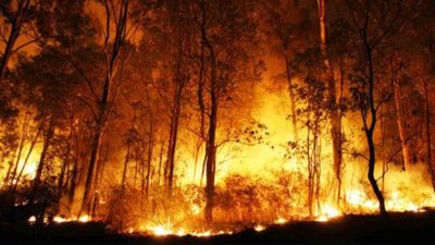 Kebakaran Lahan di Gunungputri Bogor Disebabkan Pembakaran Sampah