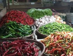 Daftar Harga Bahan Pokok Pasar Tradisional Kabupaten Bogor September 2023