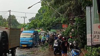 Pohon di Jalan Raya Kemang Bogor Tumbang, Jalan Tutupi