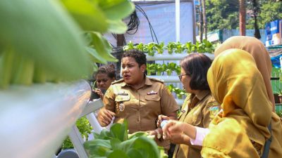 Urban Farming, Cerita BRInita di Jayapura yang Bertani di Lahan Sempit