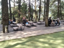 Kopi Daong, Sensasi Ngopi di Lereng Gunung Pangrango Bogor