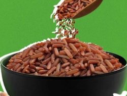 Bahaya Nasi Merah Dicampur Nasi Putih Kata Pakar Gizi