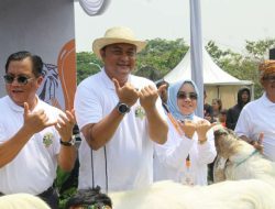 Rudy Susmanto Apresiasi Festival Ternak Domba & Kambing 2023 di Kabupaten Bogor