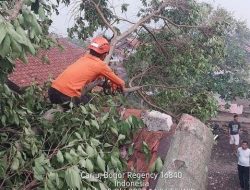 BPBD Kabupaten Bogor: 588 Bangunan Rusak Akibat Angin Kencang