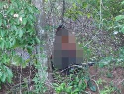 Pria di Tenjo Bogor Ditemukan Tewas Tergantung di Pohon