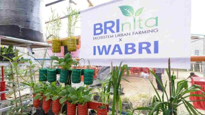 Warga Tuminting Bersama BRInita Ubah Lahan Timbunan Sampah Jadi Lahan Urban Farming
