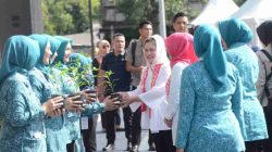 Iriana Jokowi Ikutan Tanam Cabai  di Cibinong Bogor 