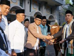 Idul Adha, Pemkot Bogor Serahkan Sapi Kurban Limosin