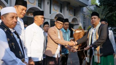 Idul Adha, Pemkot Bogor Serahkan Sapi Kurban Limosin