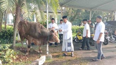 Hari Raya Idul Adha 1445 H, Pemkab Bogor Salurkan 95 Ekor Sapi dan Domba