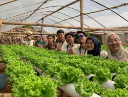 KKM IUQI Bogor Sukses Kembangkan Usaha Pertanian Milik Warga Benteng