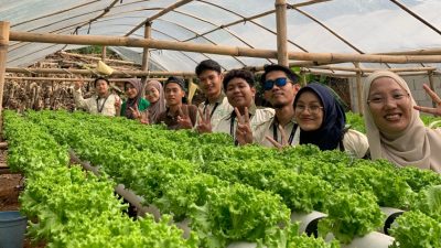 KKM IUQI Bogor Sukses Kembangkan Usaha Pertanian Milik Warga Benteng