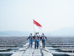 Dukung Pembangunan Berkelanjutan, Green Financing BRI Terus Tumbuh Capai Rp89,9 Triliun