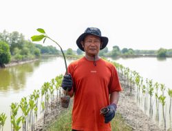 Peringati Hari Mangrove Sedunia, BRI Pertegas Komitmen Selamatkan Lingkungan Lewat Perbaikan Ekosistem Pesisir